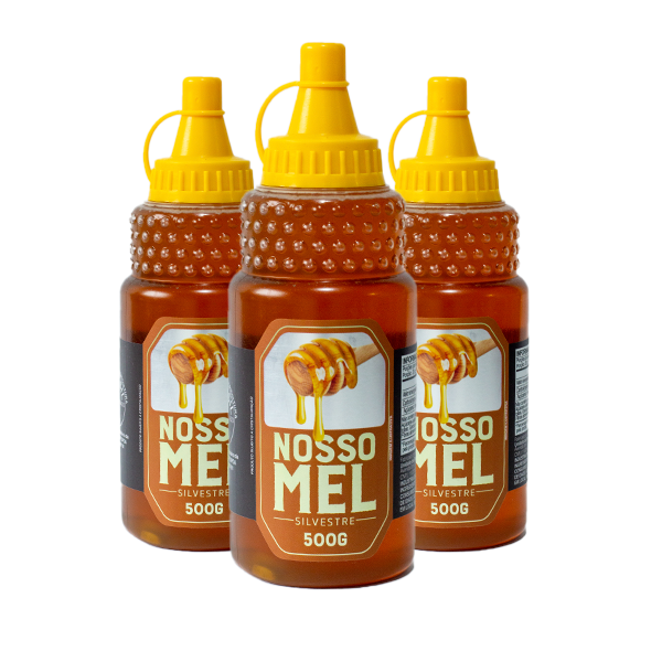 Mel Puro Silvestre Bisnaga 500g - Imagem 4