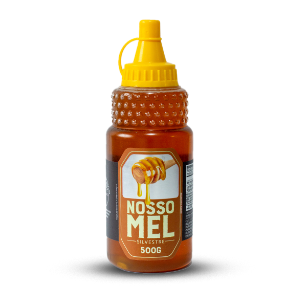 Mel Puro Silvestre Bisnaga 500g