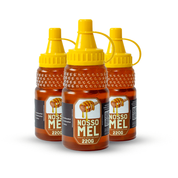 Mel Puro Silvestre Bisnaga 220G – Nosso Mel - Imagem 3