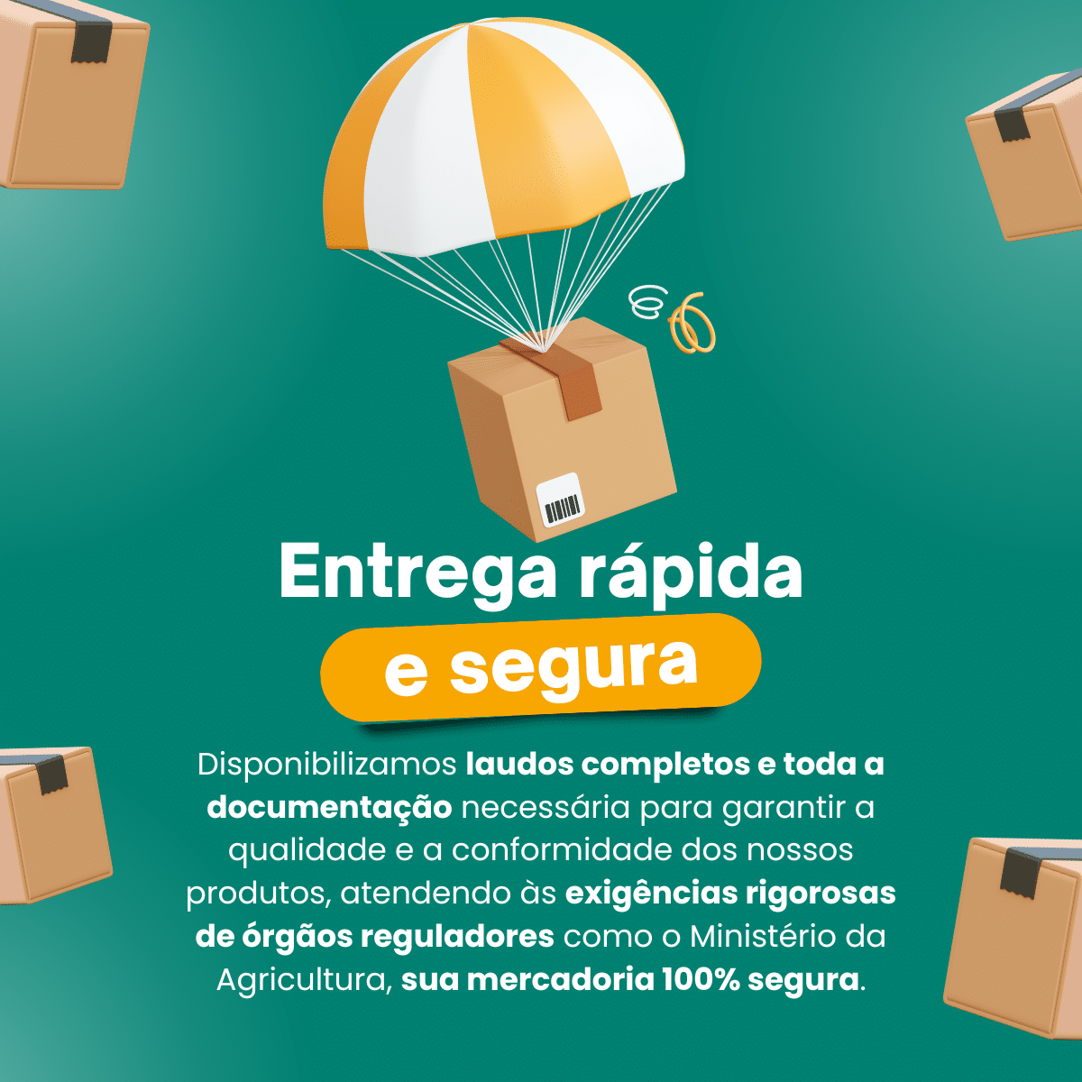 Mel Silvestre 1kg – Nosso Mel - Imagem 8
