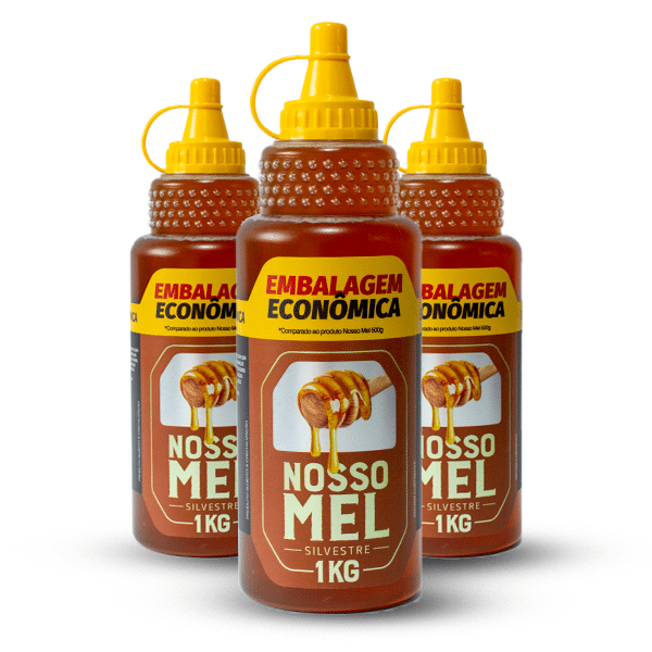 Mel Silvestre 1kg – Nosso Mel - Imagem 3