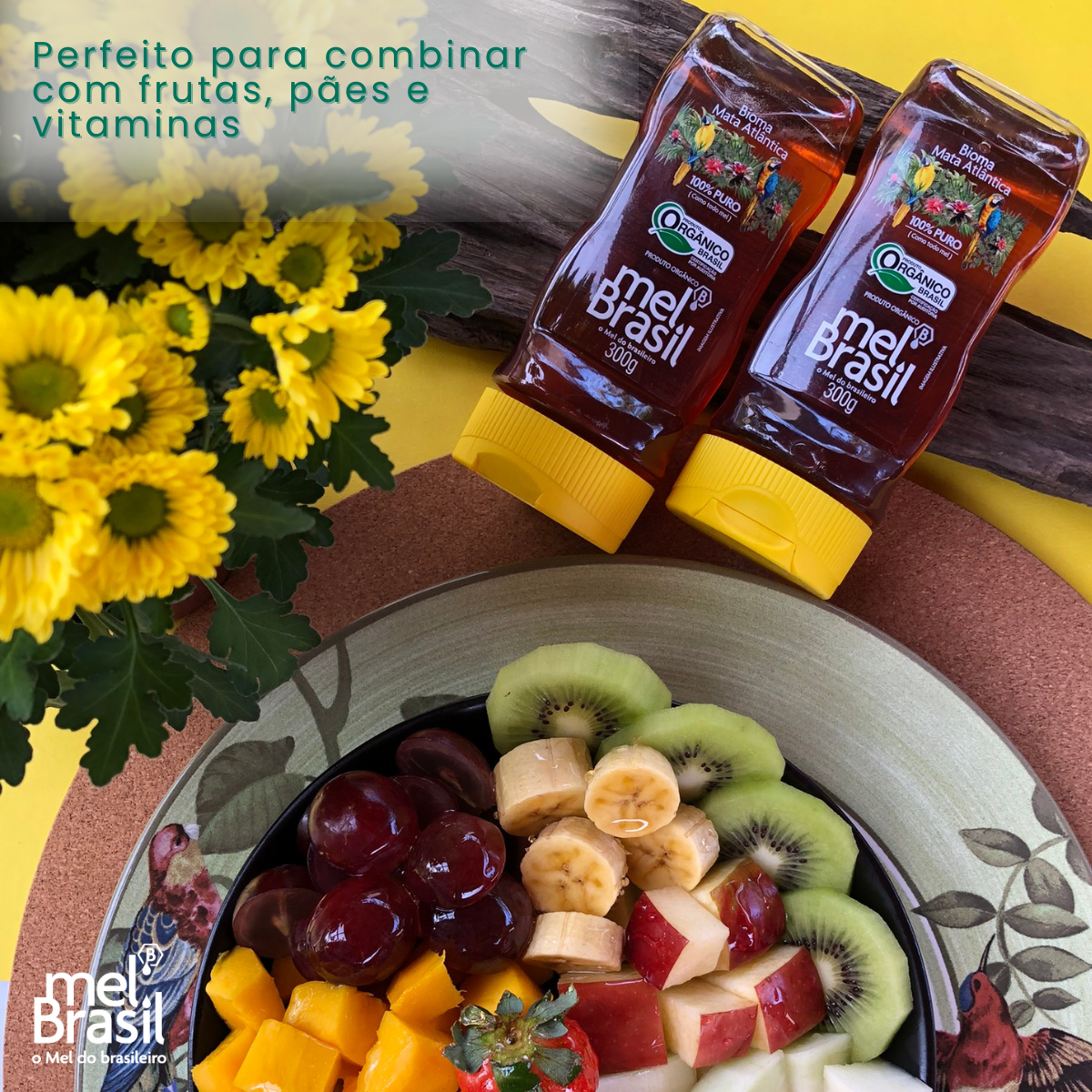 Mel Puro Silvestre Orgânico 300g - Melbras (linha Mel Brasil) - Imagem 5