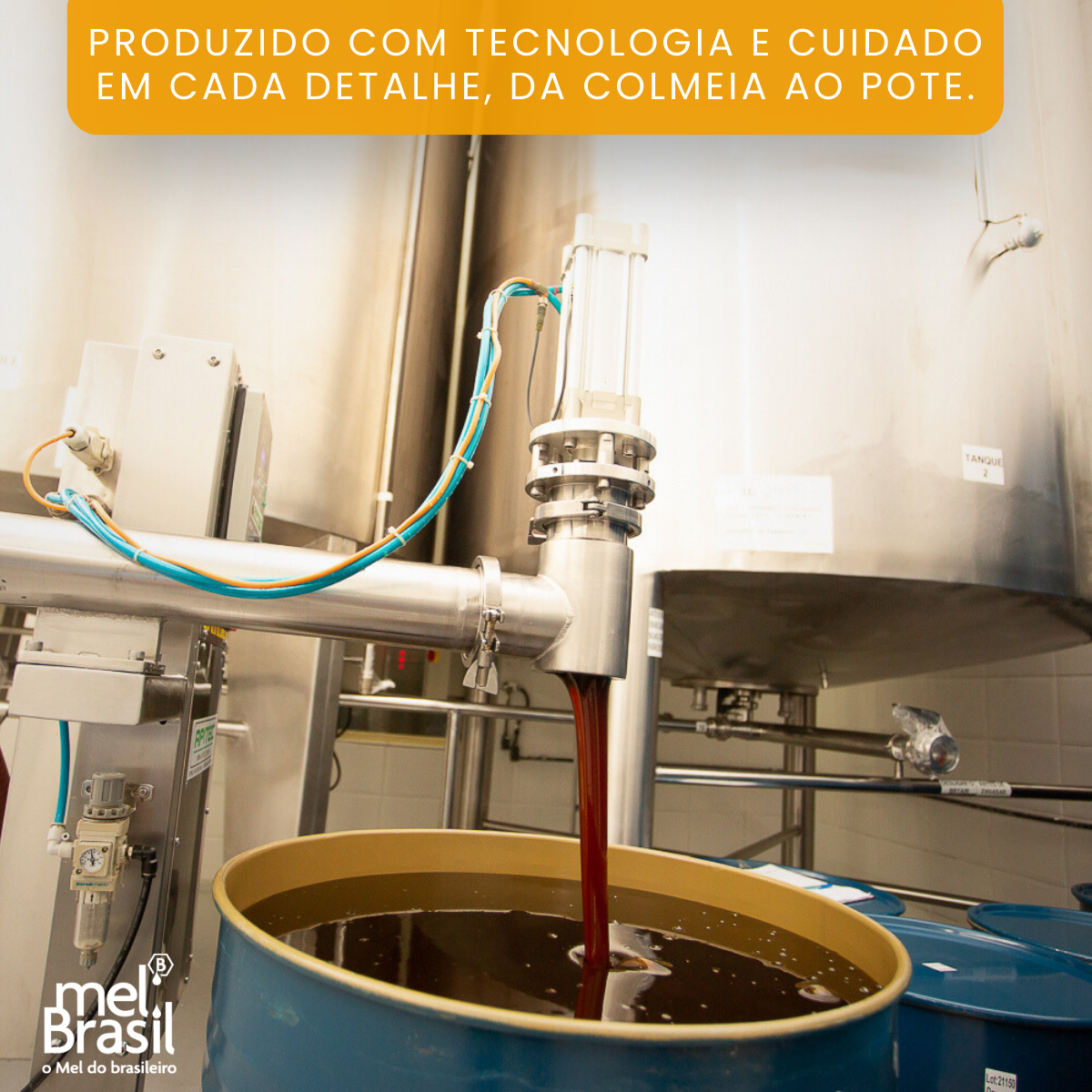 Mel Puro Silvestre Orgânico 300g - Melbras (linha Mel Brasil) - Imagem 6