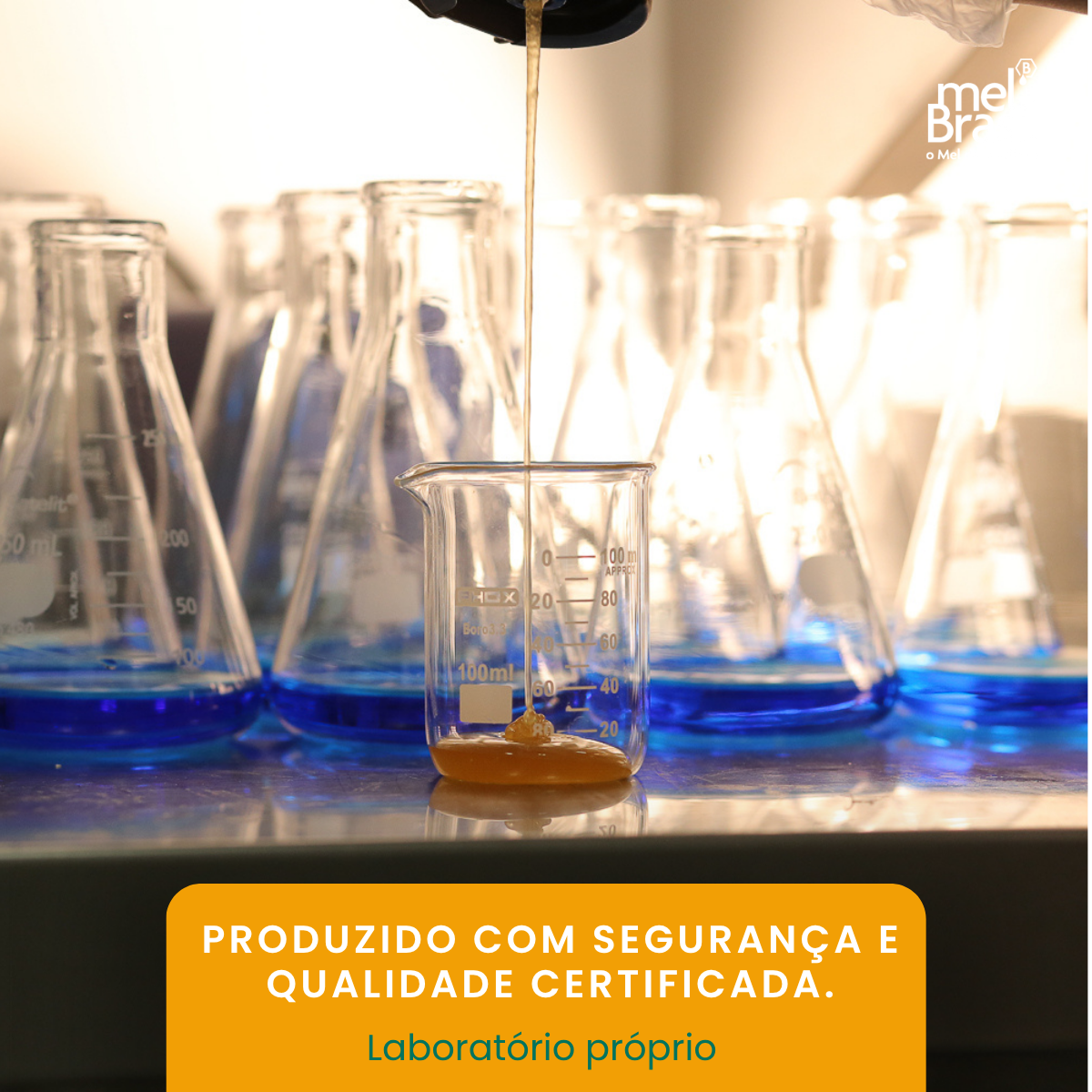 Mel Puro Flores De Aroeira 300g - Melbras (linha Mel Brasil) - Imagem 8
