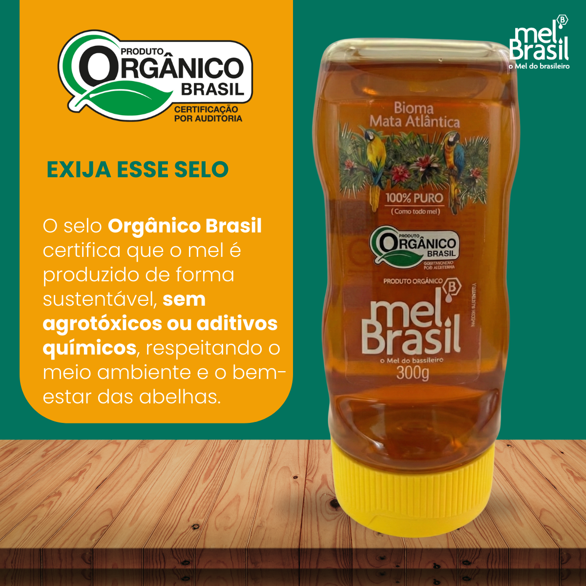 Mel Puro Silvestre Orgânico 300g - Melbras (linha Mel Brasil) - Imagem 3
