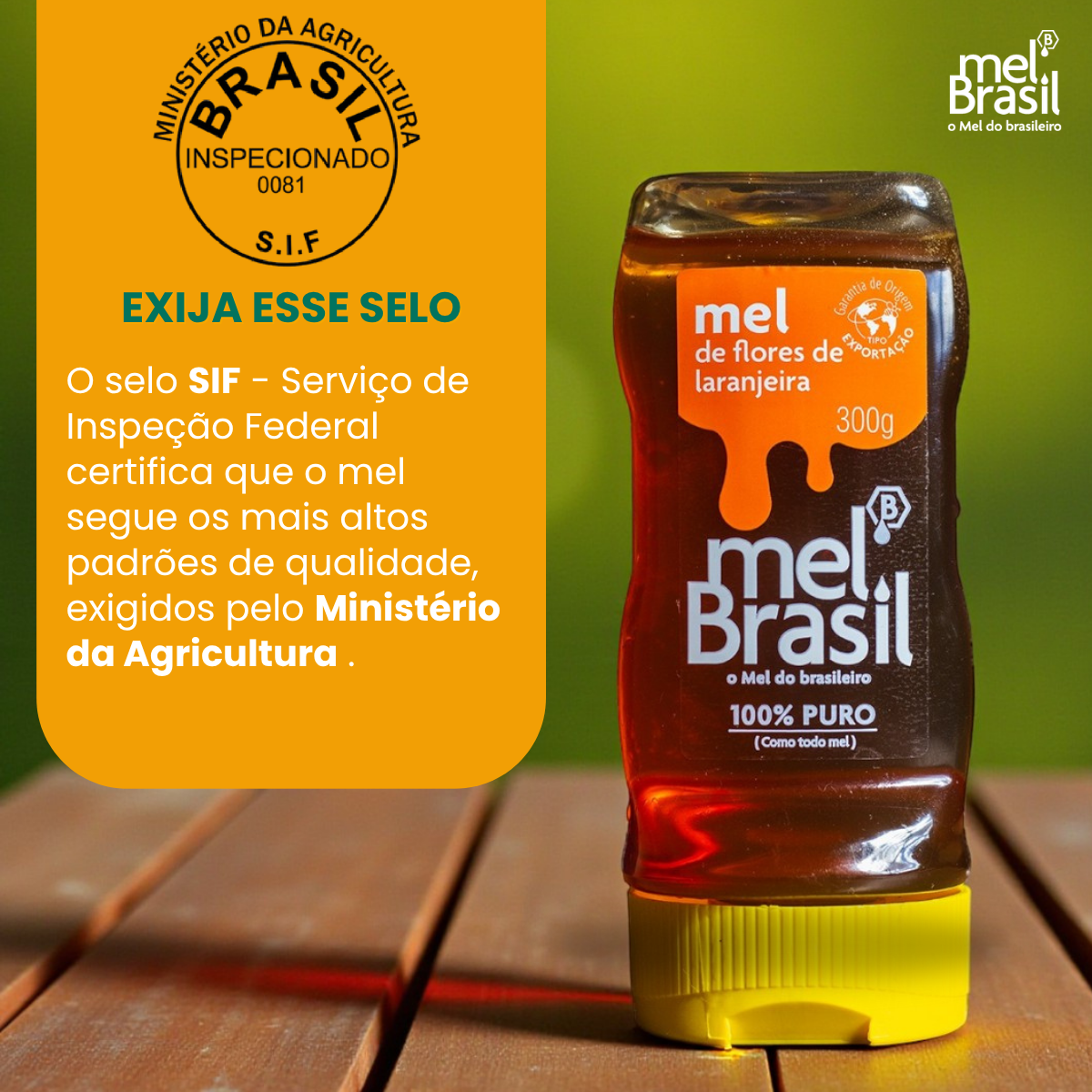 Mel De Flores De Laranjeira 300g - Melbras (linha Mel Brasil) - Imagem 2
