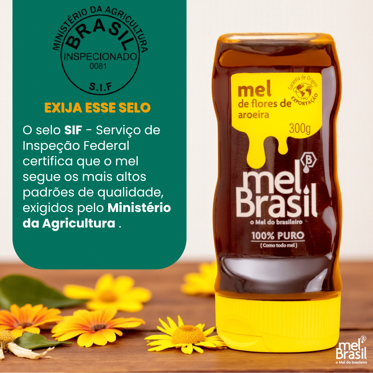 Mel Puro Flores De Aroeira 300g - Melbras (linha Mel Brasil) - Imagem 6